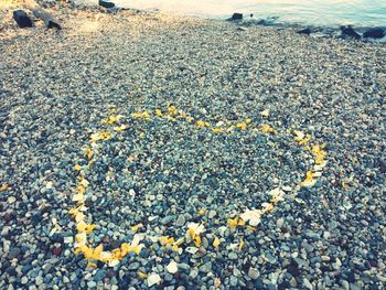 Pebbles on beach