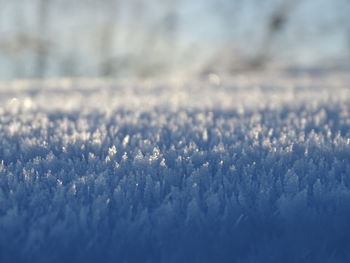 Close-up of snow on field during winter