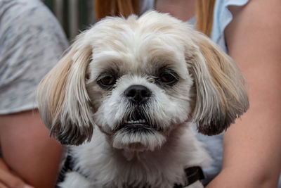 Portrait of woman with dog