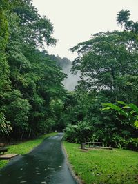 Road amidst trees against sky