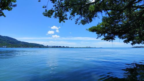 Scenic view of lake against blue sky