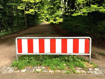 Close-up of red road against trees