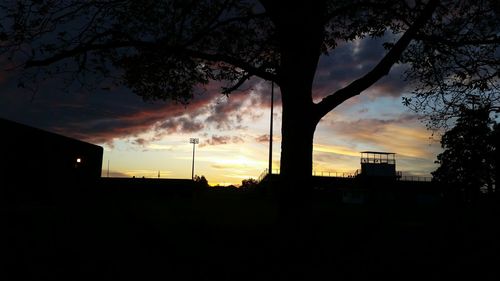 Silhouette of trees at sunset