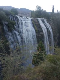 View of waterfall in forest