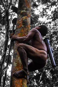 Low angle view of man on tree in forest