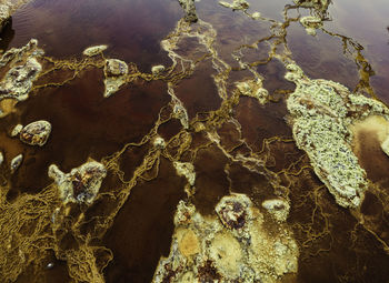 Full frame shot of rocks on beach