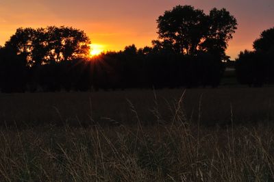 Scenic view of field against sky during sunset