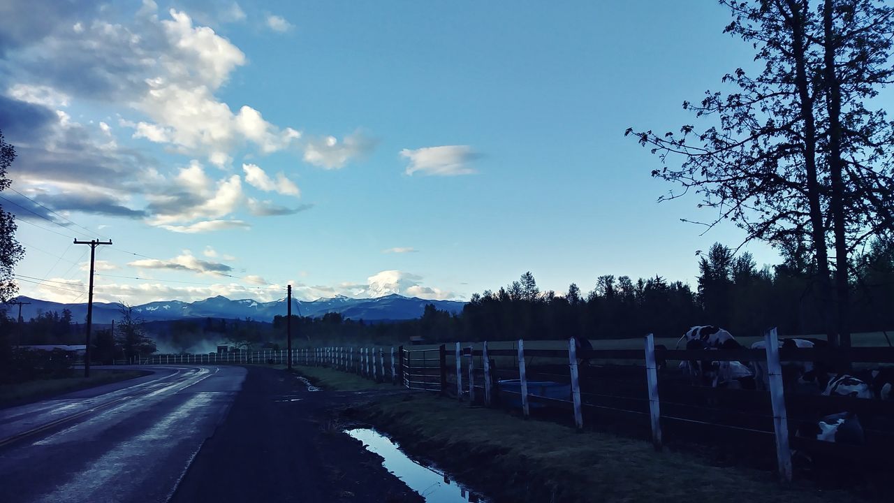 ROAD AMIDST TREES AGAINST SKY