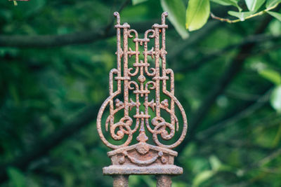 Close-up of metal cross on tree