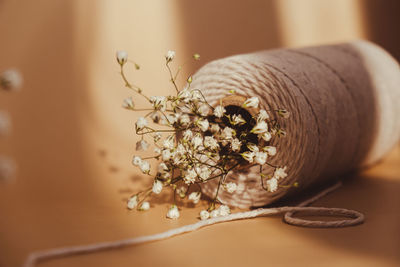 Delicate white flowers of gypsophila with spool of white cotton rope on neutral beige background