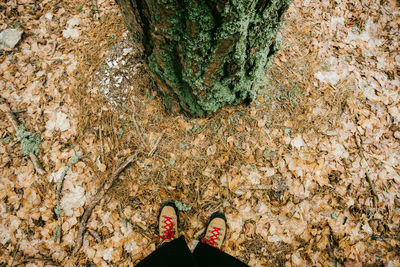 Low section of person standing on ground