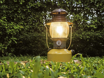 Close-up of electric lamp on field