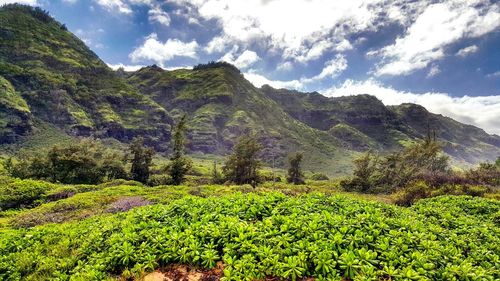 Scenic view of mountains against sky