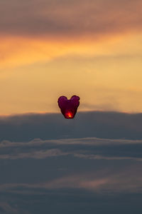 Heart shaped flower against sky at sunset