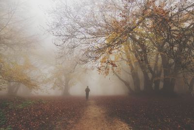 Man standing amidst trees during autumn