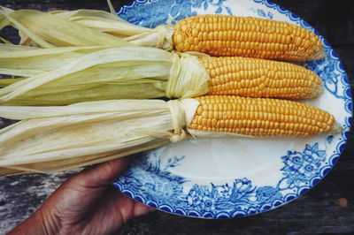 Cropped image of hand holding sweetcorns in plate
