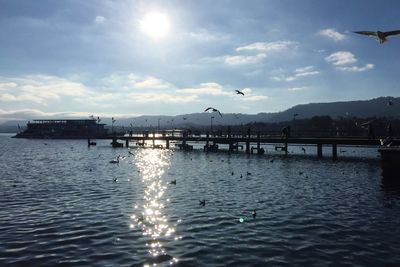 Swans flying over water against sky