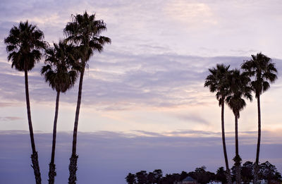 Silhouette trees against sky during sunset