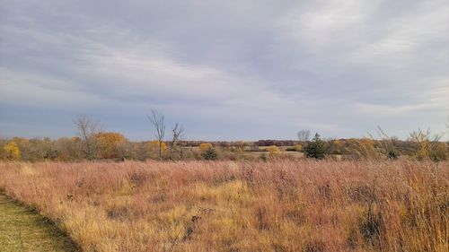prairie