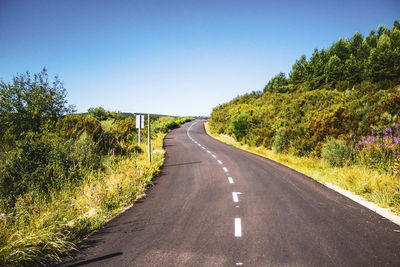 Road surrounded by forest and vegetation against blue sky