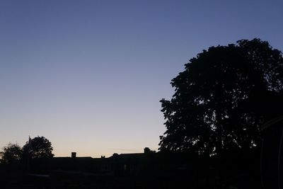 Silhouette trees against clear sky