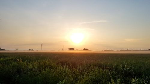 Scenic view of field against sky during sunset