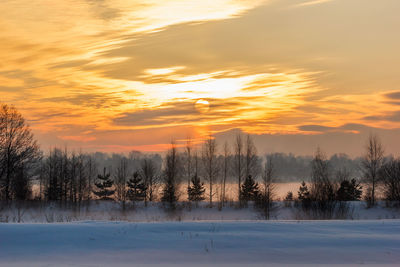 Trees on snow covered landscape against sky at sunset