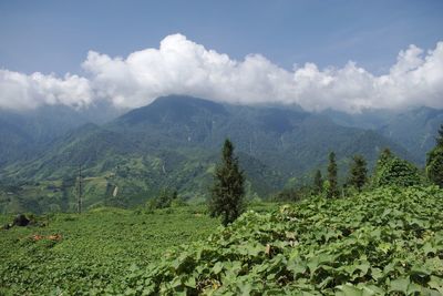 Scenic view of mountains against sky