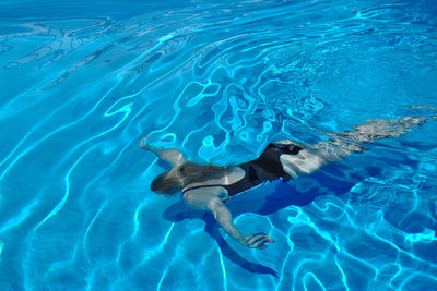 Man swimming in pool