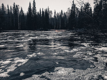 Scenic view of waterfall in forest against sky