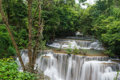 Scenic view of waterfall in forest