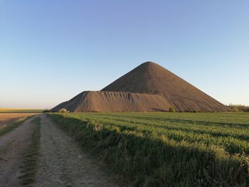 Scenic view of agricultural field against clear sky