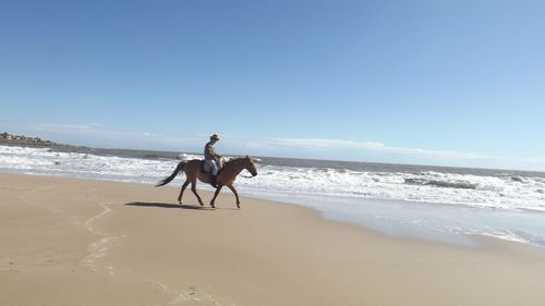 Man riding horse on beach against clear blue sky