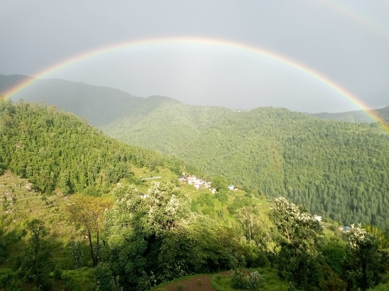 rainbow, beauty in nature, scenics - nature, plant, double rainbow, tree, environment, nature, tranquility, landscape, sky, multi colored, land, tranquil scene, idyllic, spectrum, green, mountain, hill station, no people, cloud, non-urban scene, natural phenomenon, field, forest, day, outdoors, growth, sunlight, rural scene, wet, refraction, rain, vegetation, curve, grass, remote, water