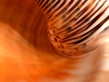 Full frame shot of pattern