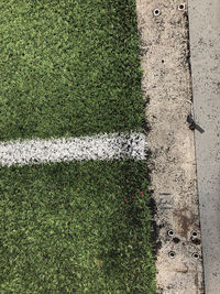 High angle view of road amidst plants on field