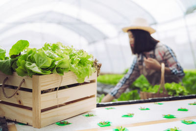 Man with vegetables on table