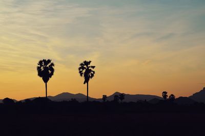 Silhouette palm trees against sky during sunset