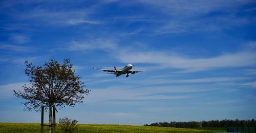 Low angle view of airplane flying against sky