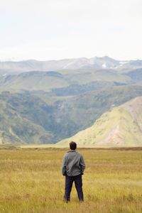 Rear view of man looking at field