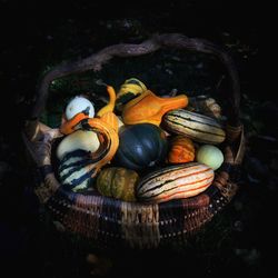 Close-up of orange eggs