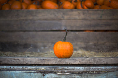 Close-up of orange pumpkins on wood