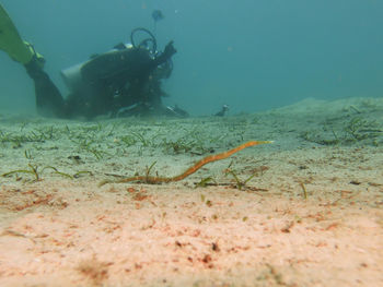 underwater