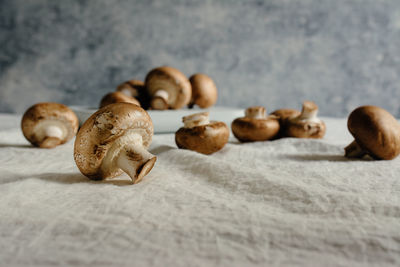 Close-up of mushrooms on table