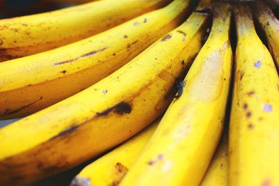 Close-up of bananas for sale in market