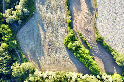 High angle view of trees on land