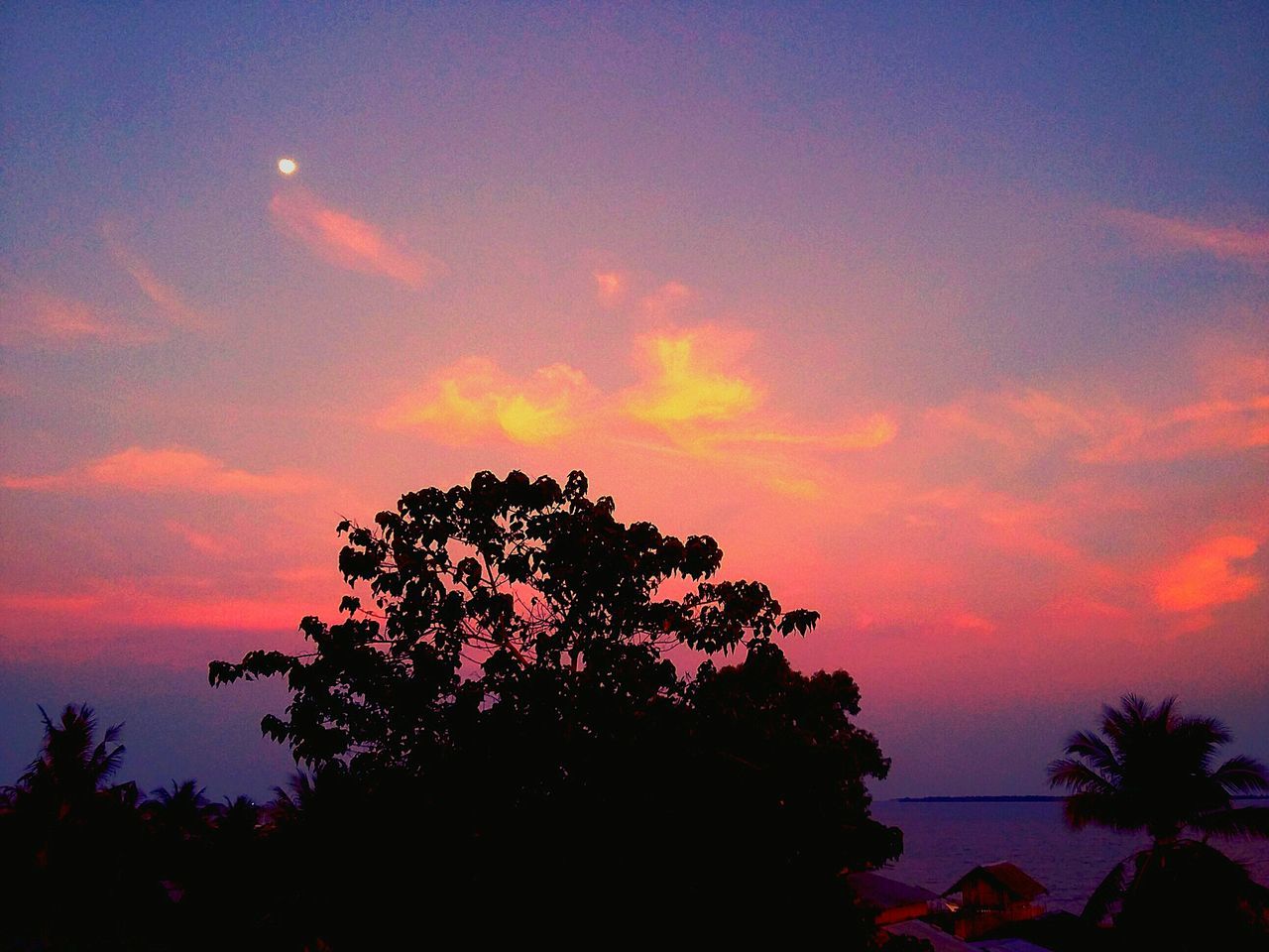 sunset, silhouette, sky, tree, beauty in nature, scenics, tranquility, orange color, tranquil scene, nature, cloud - sky, growth, low angle view, idyllic, dramatic sky, cloud, outdoors, dusk, branch, no people