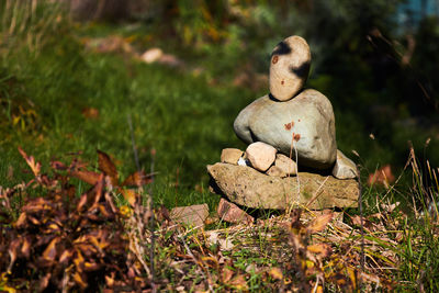 Close-up of statue on field