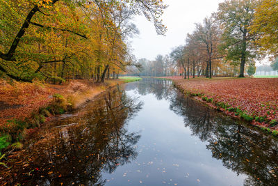 Reflection of trees in lake during autumn