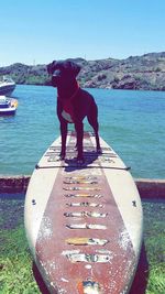 View of nautical vessel in water